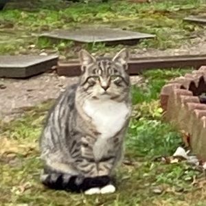 Meet your Posher, Maria